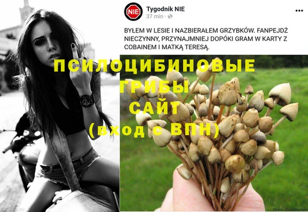 мдпв Михайлов