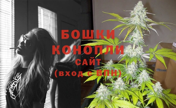 дмт Надым