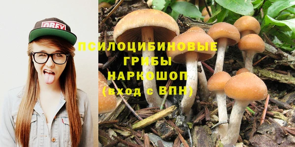 мдпв Михайлов