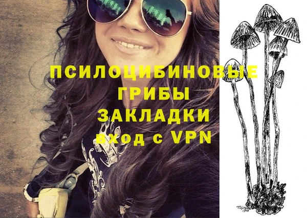 гидра Михайловск