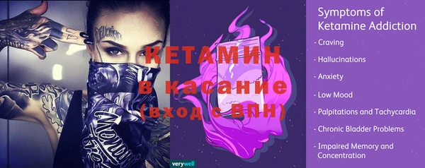 гидра Михайловск