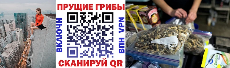 ОМГ ОМГ ONION  Нытва  Галлюциногенные грибы мицелий 