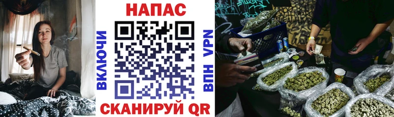 Бошки марихуана Bruce Banner  наркотики  Нытва 